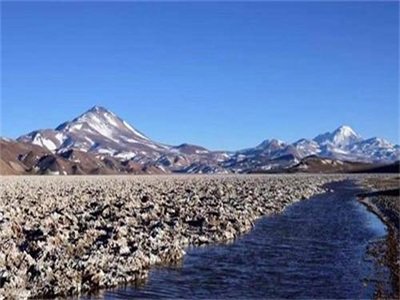 �늲����܈󣺡�䇡���δ����������䇵V���л����~���P�Iһ��