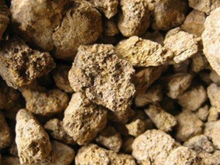 �Ĵ������R�{˹ϡ����˾�����������S