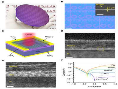 MXene���A�����̽�y��ȡ�����Mչ