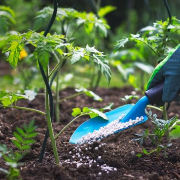 �����c�ͷ����е��Ĝy��