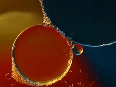 ���h(hu��n)���՚� �w�����|(zh��)����Ȝy�� ��������(GB/T 39193-2020)���Ҙ�(bi��o)��(zh��n)��؞���A(y��)֪ͨ