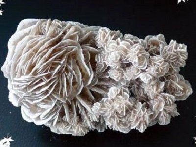 �\���ǽ��ٵV����w������Լ��g�F��