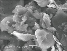 �{�׹��ؓ�O�����о��Mչ