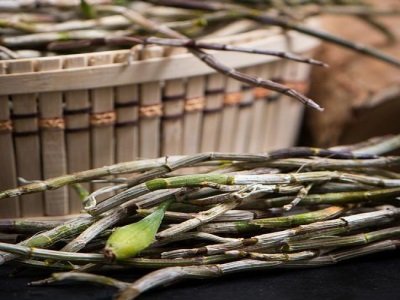 ˎ�ĺã�ˎ�źã�����ɫ�x�C���ˎ�ġ��|���T��