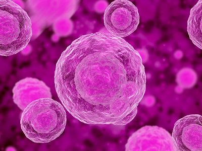 ��(d��ng)�ɼ�(x��)�������ˡ��{��̼���}�����DNA���ˣ�