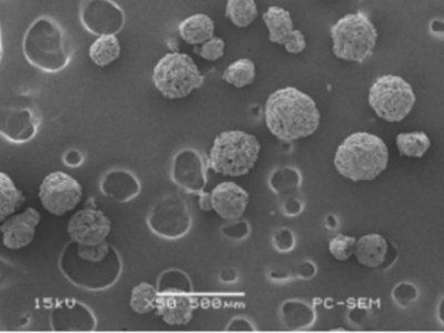 ���ң�΢���w�S�����ǫ@�������K�����I�܇���ˎ�������ИI