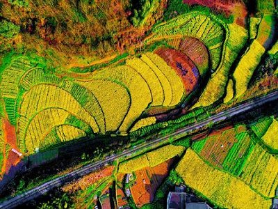 �ǽ��ٵV�ИI(y��)���Gɫ���������ѣ��V�a(ch��n)�YԴጷ�ʲô��̖(h��o)?