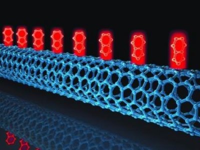 ̼�{�׹�2022�о��Mչ