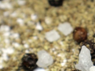 �Ї�����ԺԺʿ���£��P�I�V�a�����Ϯa�I��������R�Ć��}