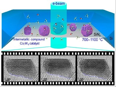 2023�걱����W���߻����͆α�̼�{�׹����߉������O�о��Mչ