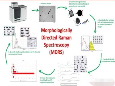 ˎ��΢�������о�