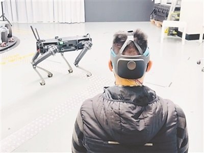 ʯīϩ������������������ơ��C(j��)����