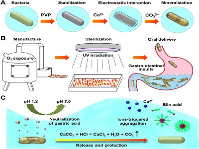 �Ϻ�����̼���}�����V����¡����_�l(f��)���Ϳڷ�������ˎ���ṩ��;����