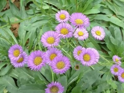 �г�ˎ�����£�����ˎ�I(y��)�Ƽ���(chu��ng)��֮·�����