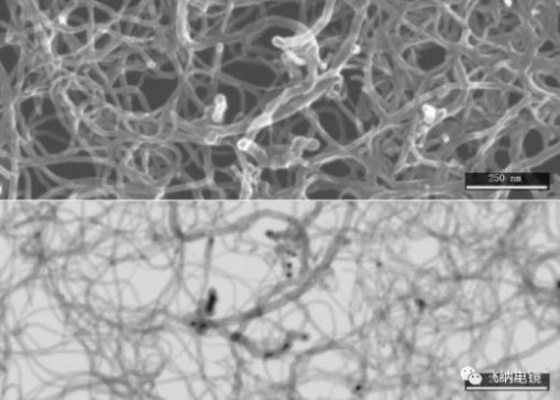 ��Ʒ�l(f��)����Pharos-STEM��ȫ��Ψһ�_ʽ���l(f��)�� SEM-STEM ����@΢�R