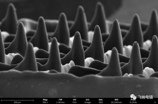 ��Ҳ���´������������R�µ�͸Ƥ�oˎ΢�