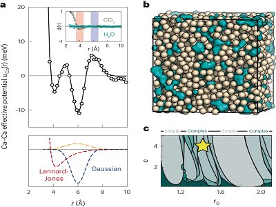̼���}������Nature Chemistry��