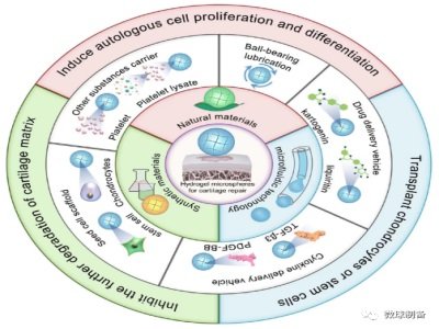 ˮ���z΢����Ƃ估����