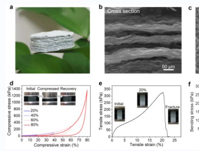 �����������մɚ����z�о�����ȡ�����M(j��n)չ