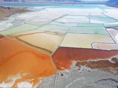 ���صV�I(y��)��ʾ2025���o䇾��V�����L(f��ng)�U(xi��n) !��˾��ʿ��ʾ������䇾��V�N���~Ӱ푲���