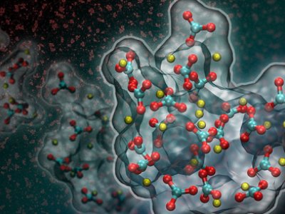 �{��̼���}��2023����ȫ�_