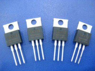 2023����w�ИI��P�c��������댧�w