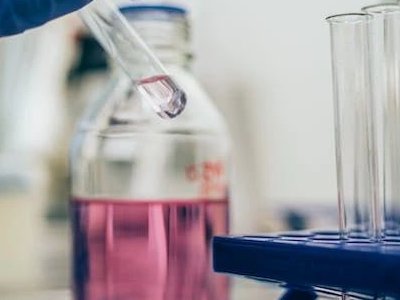 2024�ɶ����H�����b�䲩�[��