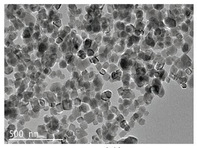 ���~�塢�zճ�����������lҲ�x���_�l