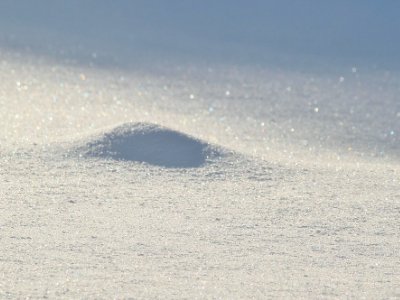 �Ͼ��������²������޹�˾�c����s������ȫ��(gu��)̼���}������(hu��)