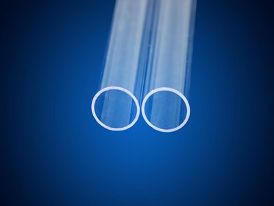 ʮ����������L81����ʯӢ���^ץס���@����(g��)�L(f��ng)��