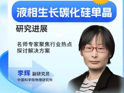 Һ�෨SiC�к������Mչ��