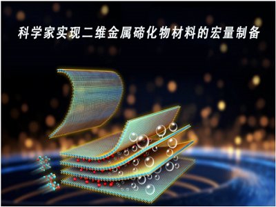 ���Ρ����١���Ч���҇��ƌW�Ҍ��F���S�����ڻ�����ϵĺ����Ƃ�