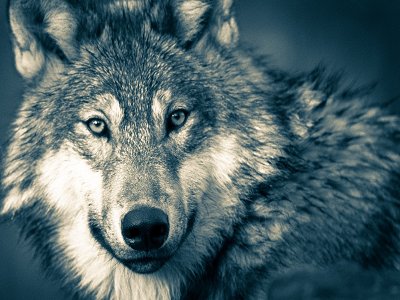 ⁰׷ۣ��ǁ��ˣ�