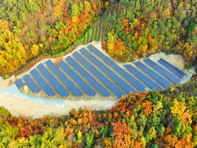 ȫ����ϡ��Ĵ������������t����������̽��