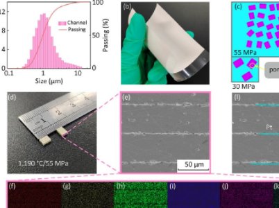 �������I��W���������ڈFꠣ������ؽ�늷����Ե�MLCC���Mչ