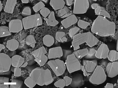 ��һ��ȫ�̑B(t��i)늳����O���ϵ����x����(hu��)�����᣿