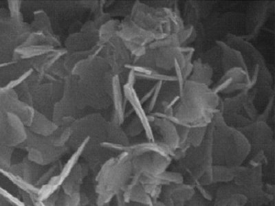 ���m�϶��S�{�ײ��ϵ��Ƃ䷽�������൪������I(y��)���x��