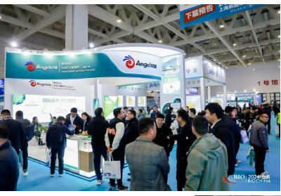 ��8������2024�Ϻ�����l(f��)��ϵ��չ���I(l��ng)����l(f��)���ИI(y��)��څ�ݣ�