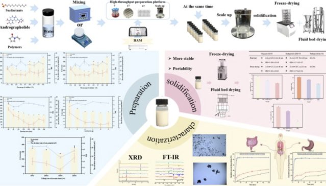 �{�׻�҄��Ƃ��ǰհ�Լ��g - ���B����