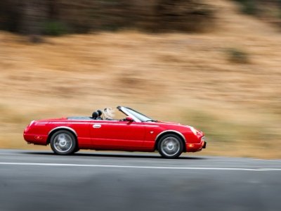 ȫ����܇(ch��)�p�|(zh��)�����Ј�(ch��ng)���(f��)�����L(zh��ng)�ʻ��_(d��)13.06%