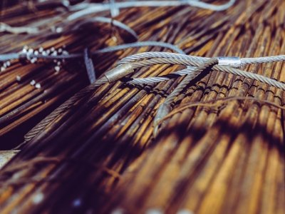 2016���²����ИI�����幫˾�F���������~Top50