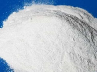 2020������Ї�(�Ϻ�)���H�{��չ�[���߸߷�Փ��