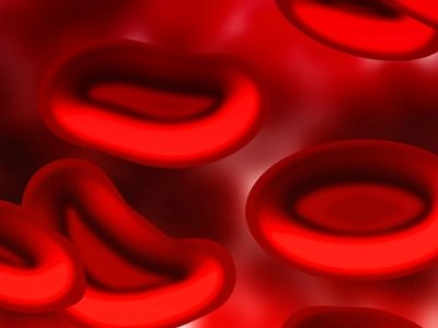 �n���аl���w������оƬ���܉�Ѹ�ٜʴ_�R�e������