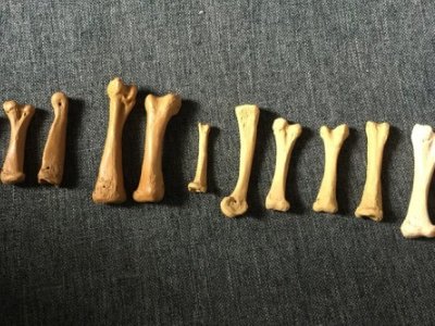 �P�I�r�̣��@Щ�մ��ܡ�����һ������