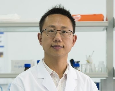 �|�ϴ�W�������ڣ����м{�£�����������