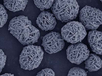 ���ҡ���(gu��)�a(ch��n)�÷۲ġ�֮�Ђ��ɷ���Ԫǰ�(q��)�w