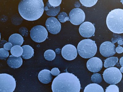 �������ι�΢�����^�������кΪ��ؼ�ˇ��