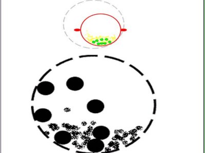 ���i��ĥ�CЧ���������P�I