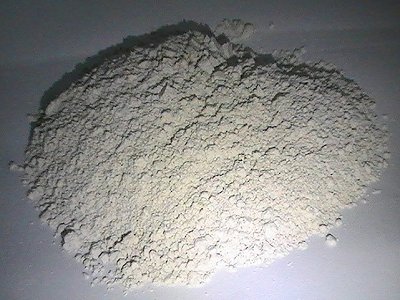 2024��ǽ��ٵV��ƌW���g����ʾ��4���lչ���������ҕ��