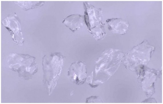 �댧�w��I(y��)�l(f��)�����_�ƺϳ�ʯӢ�a(ch��n)�I(y��)�����i